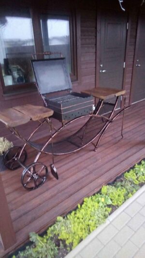 Šaškykinė su dviem ratais