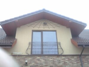 Voratinklis ir apsauginė tvorelė